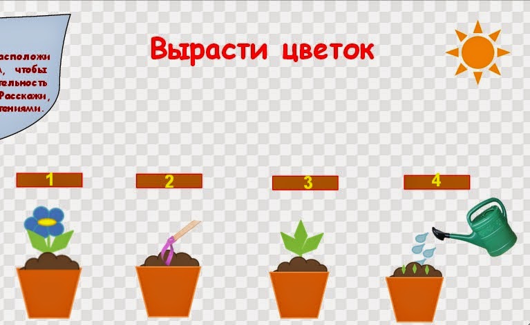 Сколько дней растут цветы. Алгоритм посадки цветов для детей. Задания по комнатным растениям для дошкольников. Алгоритм посадки растений. Алгоритм посадки растения для детей.