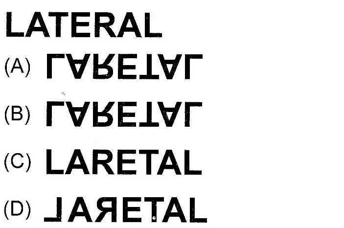 Mau Melamar Kerja Di Epson Lihat Alur Interviewnya Dan 10 Pola Soal Psikotes Bakal Ditanya Contoh Soal Ujian Terlengkap