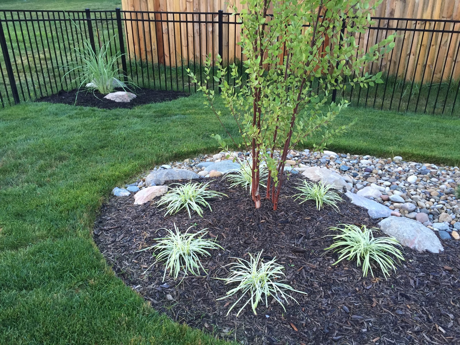 Bed Edge with Weed Whacker and Grass Killer [Backyard Neophyte ...