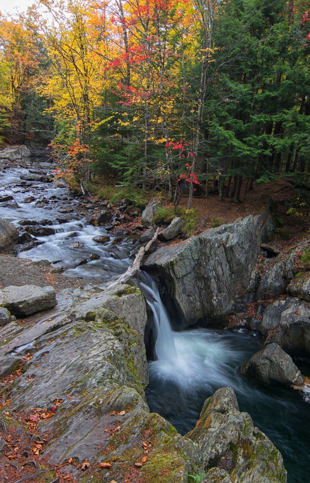 Carol's View Of New England Four Corner Falls Jay VT/ River Road