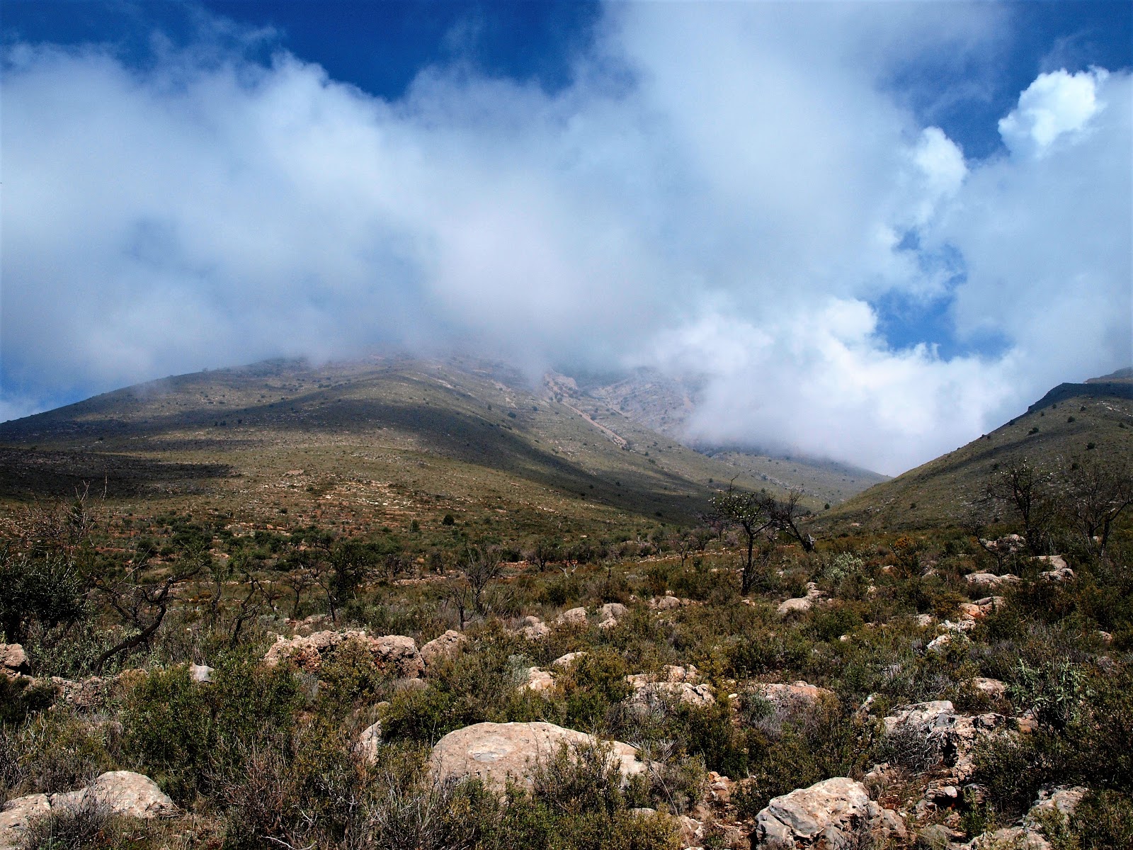 Foto de Sendero Lújar a Lagos en Lújar, Granada