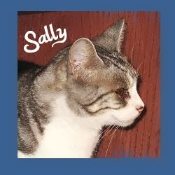 Sally