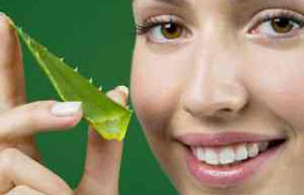 Best Aloe Vera Face Pack For All Type of Skin in Details Best Aloe Vera Face Pack For All Type of Skin in Details