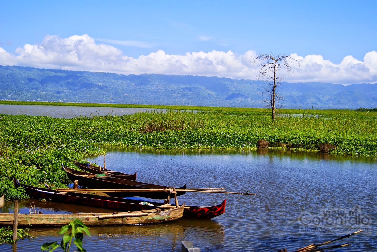 Wisata Danau Limboto Gorontalo | Aneka Wisata Nusantara