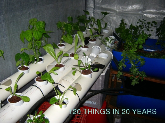120 things in 20 years Aquaponics Strawberry towers and NFT tubes