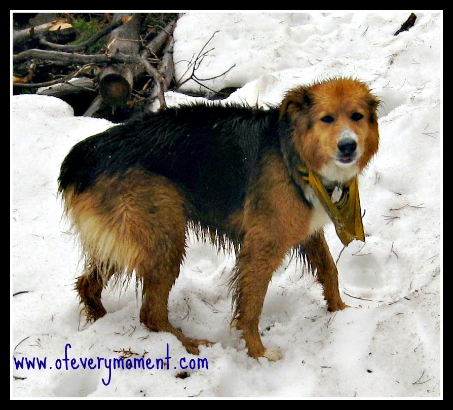 GI Distress. the most of every moment