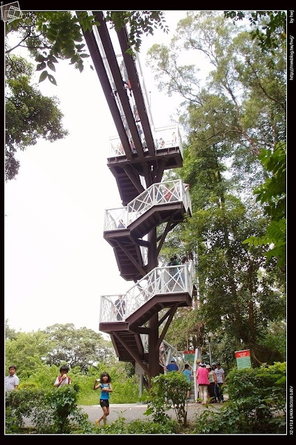 嘉義縣竹崎鄉親水公園萬竹博覽館-全新景點花仙子-天空步道啟用-千禧橋-弘景橋