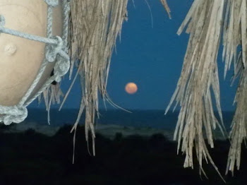 La luna desde El Cocal - (foto de Camping El Cocal)