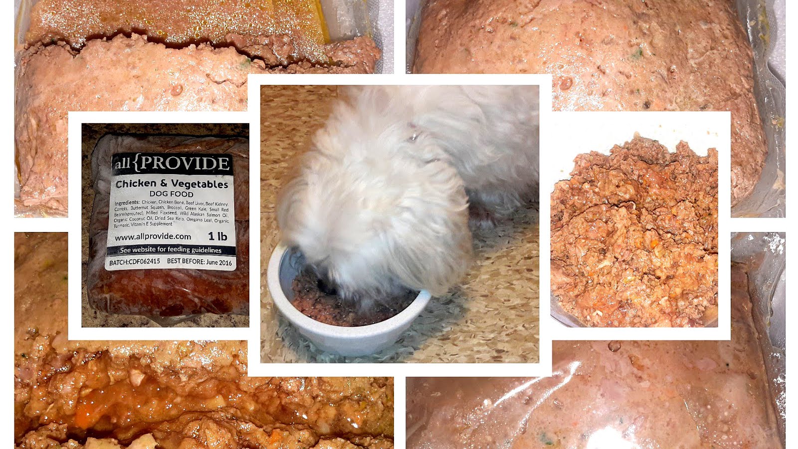 Best Dog Food For Maltese Puppies Dog Choices
