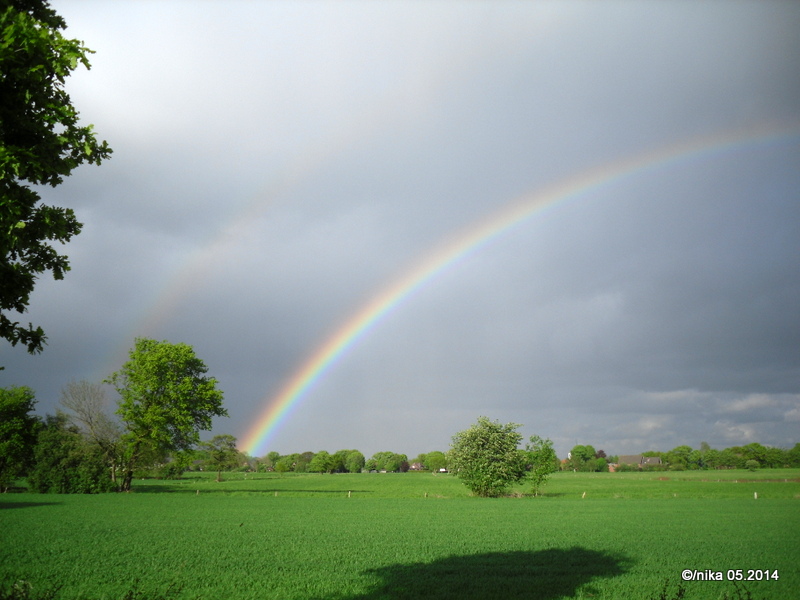 Regenbogen im Norden