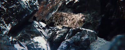 La vida secreta de Walter Mitty - Revista LIFE - Cine Fantástico - Periodismo y Cine - el fancine - el troblogdita - ÁlvaroGP SEO - MIBers - Pelis para MIBers - Digitalización La vida secreta de Walter Mitty - Revista LIFE - Cine Fantástico - Periodismo y Cine - el fancine - el troblogdita - ÁlvaroGP SEO - MIBers - Pelis para MIBers - Digitalización