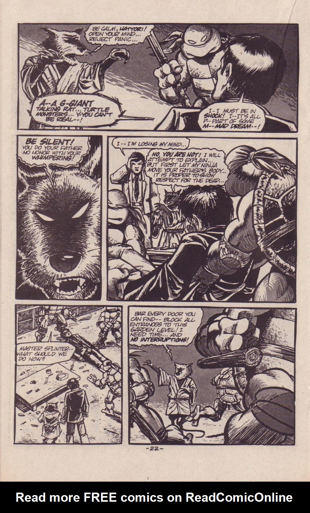 Read online Teenage Mutant Ninja Turtles (1984) comic -  Issue #9 - 24