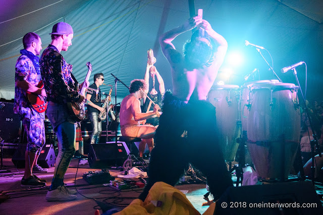 Five Alarm Funk at Hillside 2018 on July 14, 2018 Photo by John Ordean at One In Ten Words oneintenwords.com toronto indie alternative live music blog concert photography pictures photos