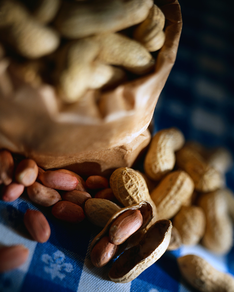 ESL Reading Fun National Peanut Month