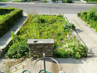 Garden cleanup Bloordale before Paul Jung Gardening Services Toronto