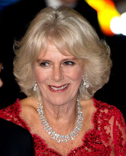 Royal Family Around the World: Prince Charles, Prince of Wales and