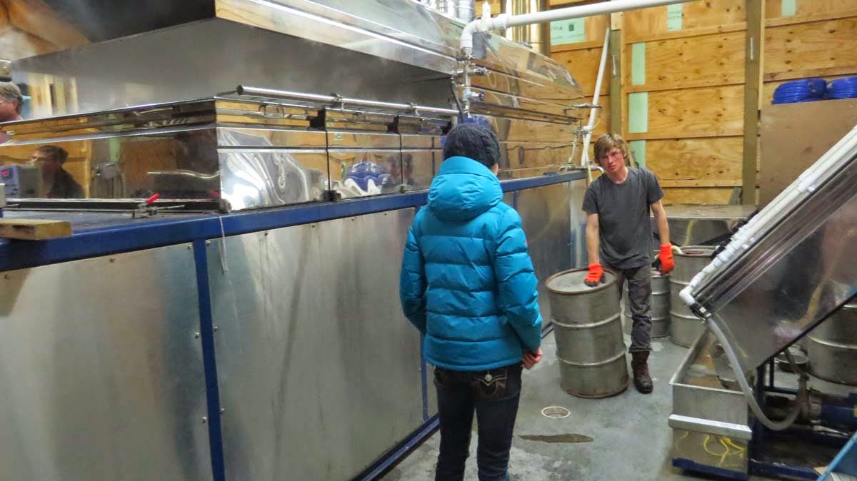 The Agatelady: Adventures and Events: All About Maple Syrup