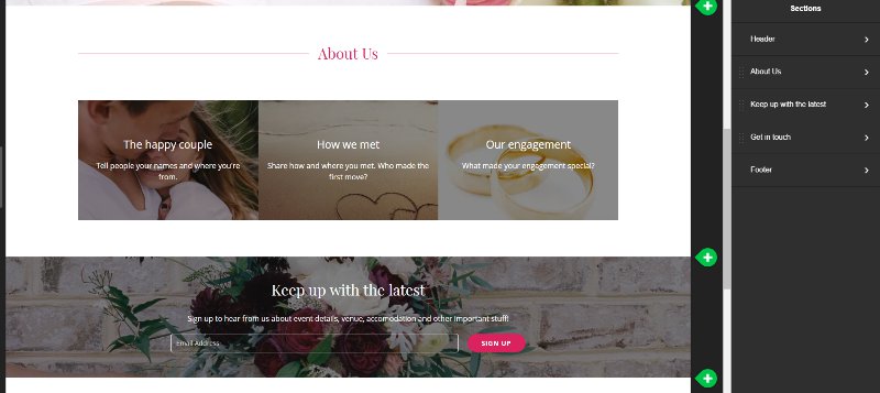 How to Create Your Own Wedding Website - learn to DIY a beautiful, personal wedding website without any technical knowledge and under 1 hour! by BirdsParty.com @BirdsParty