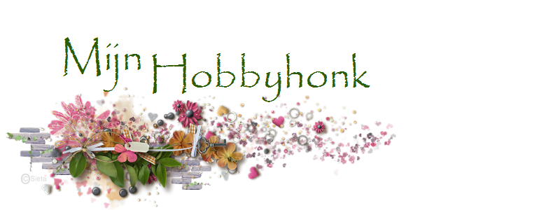 Winnaar bij Hobbyhonk