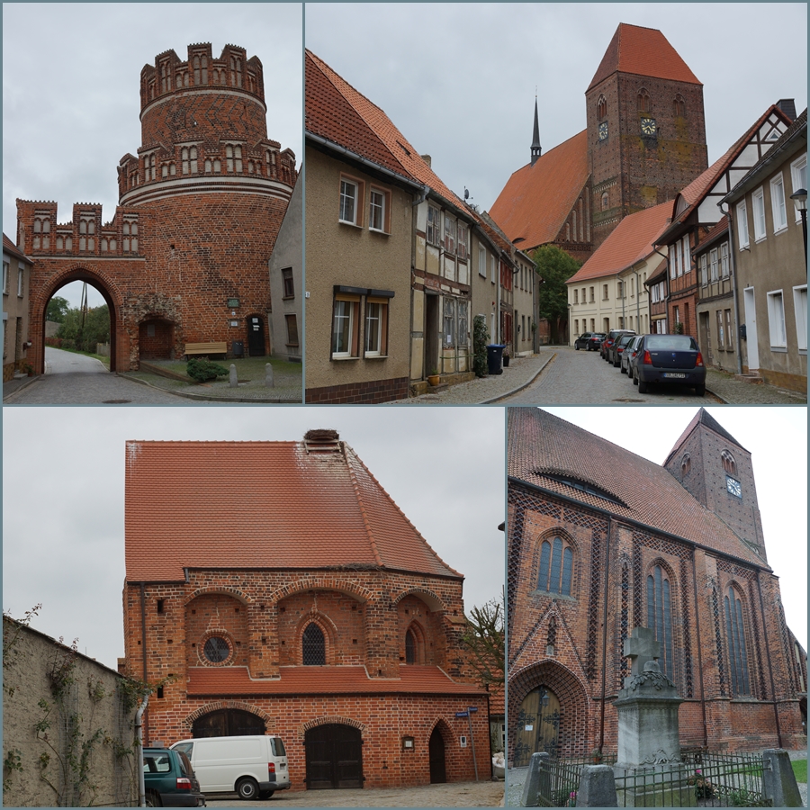 Aus dem Leben eines Hottentottenpopos 2016