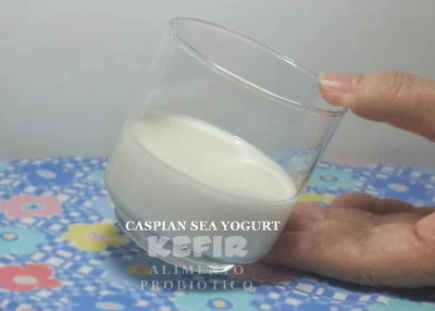 O Iogurte Cáspio está pronto quando estiver durinho, sem escorrer qdo o recipiente for inclinado, esse é o ponto ideal.