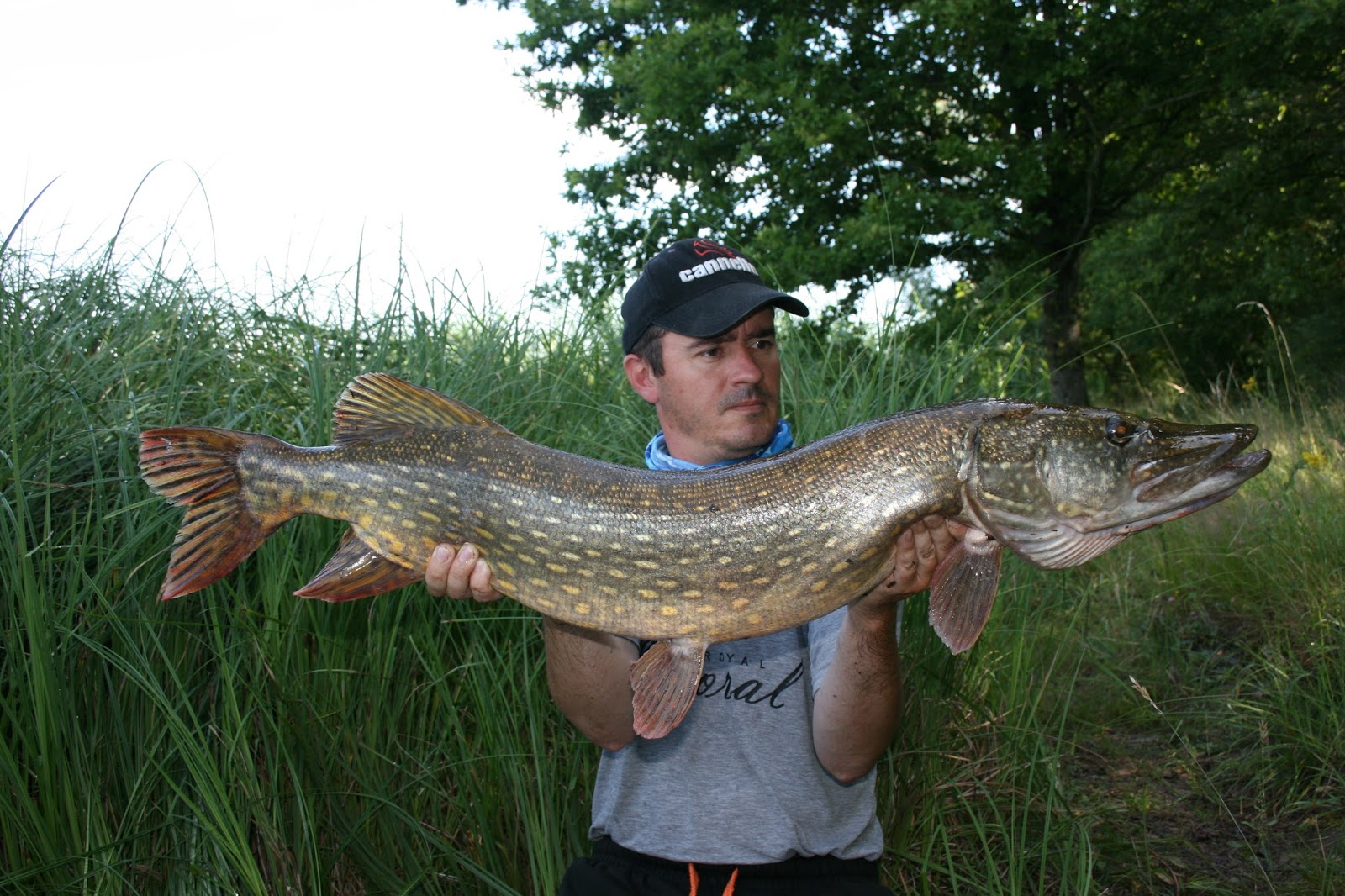 MRWATER Un gros brochet du lac....
