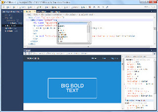 LIVEditor 1.2.7.993 Commercial Edition Portable