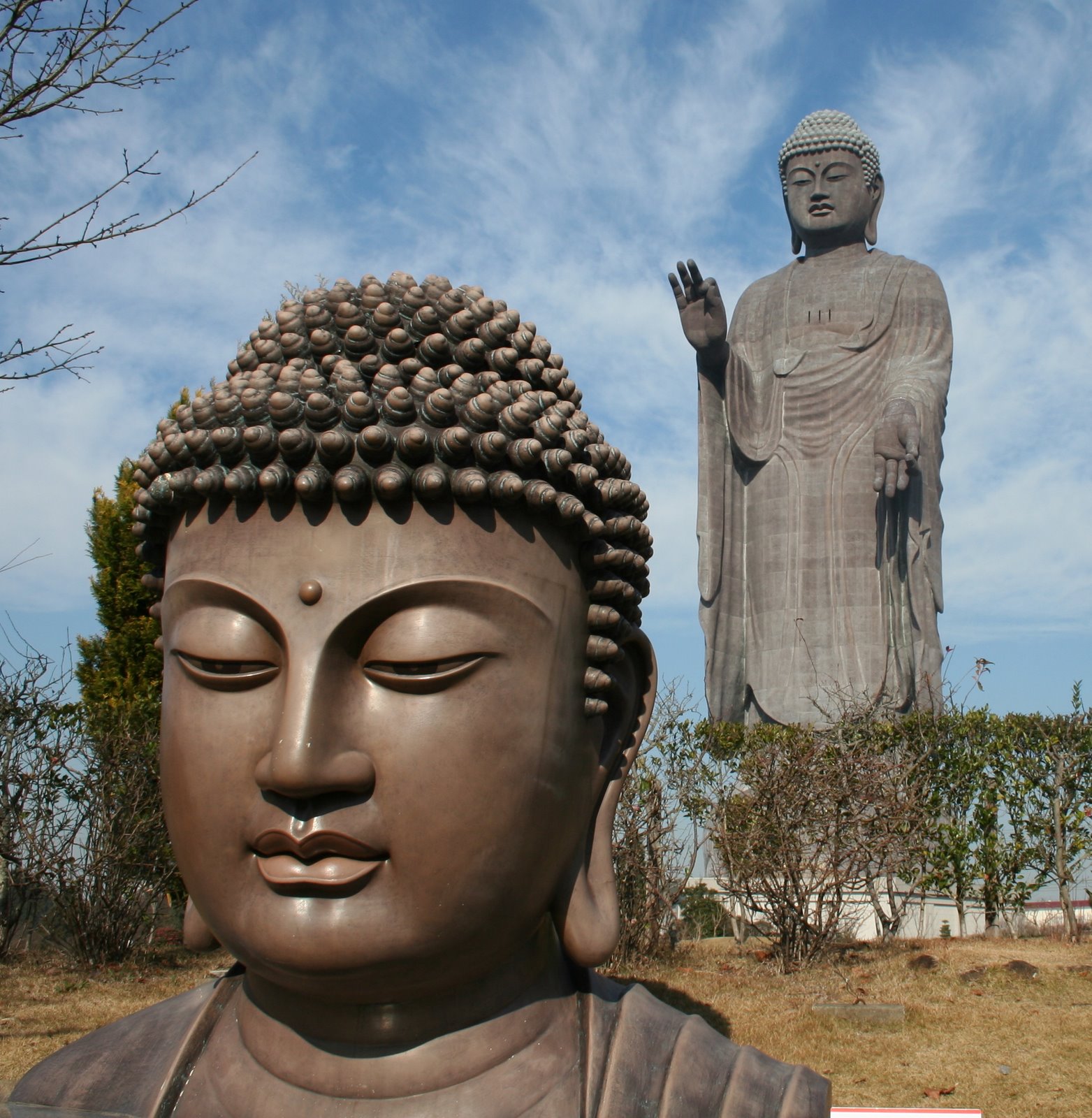 Ushiku Daibutsu Statue TOP WORLD PIC