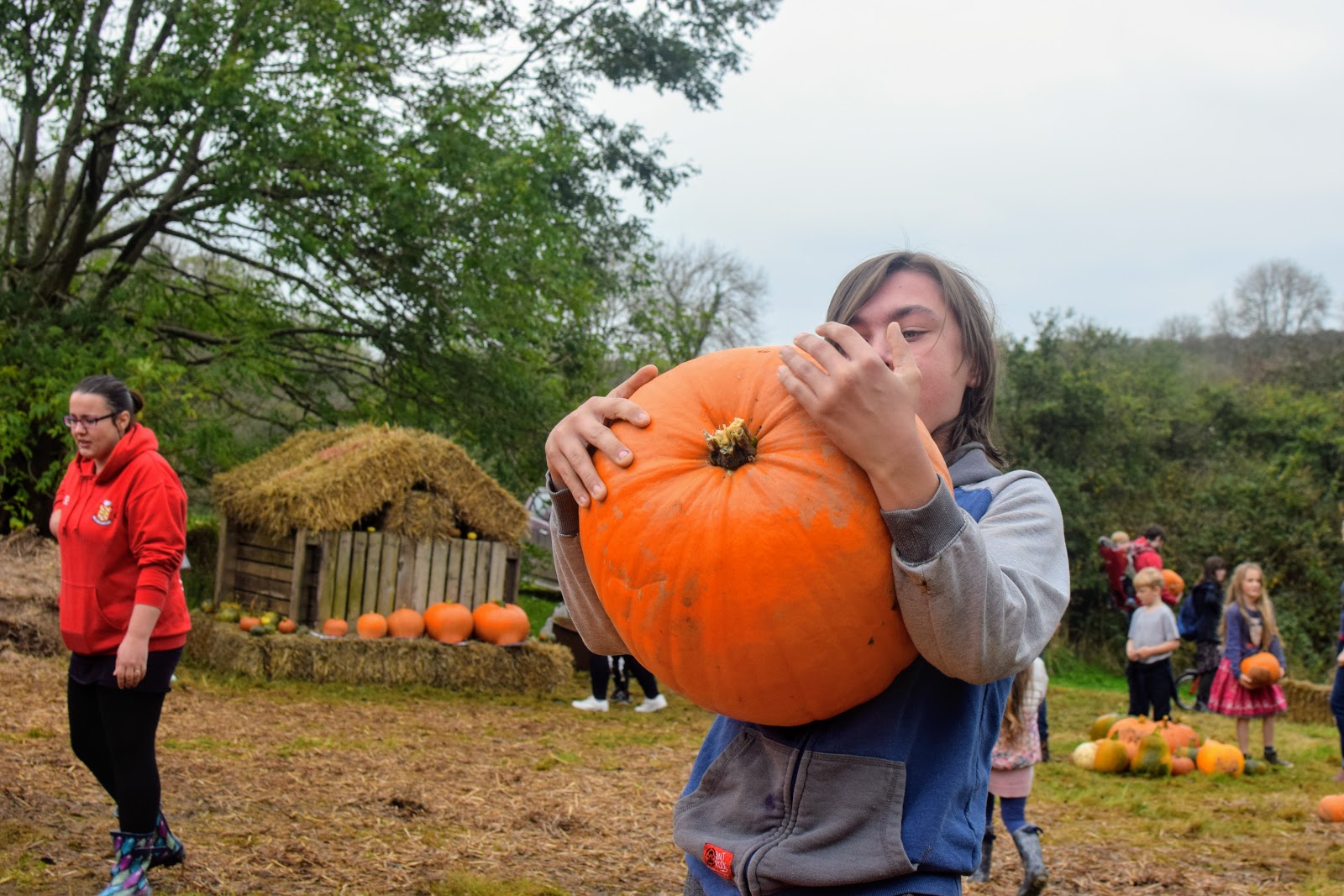 , Pumpkin Picking at Brooksgrove Farm, October 2017