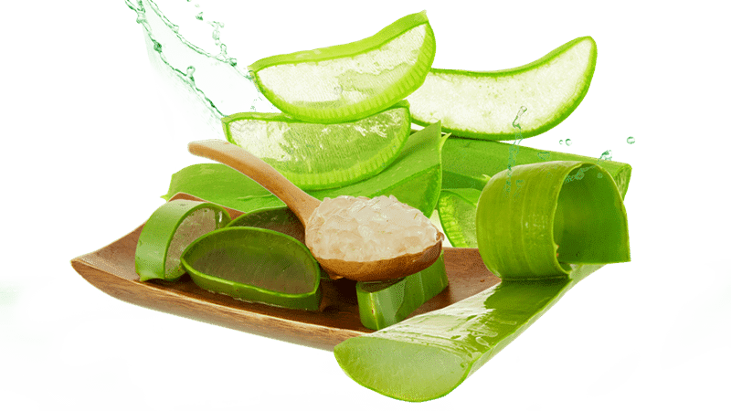 Atasi Masalah Pada Kulit Wajah Dengan Lidah Buaya - Tips Kulit Sehat Alami
