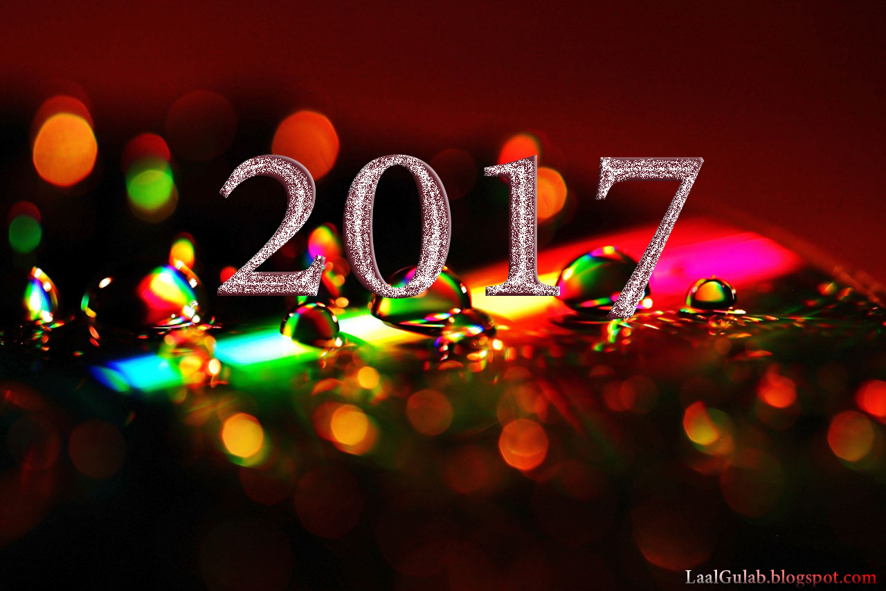 Happy New Year 2017 Wallpapers HD | Happy New Year 2017 ...