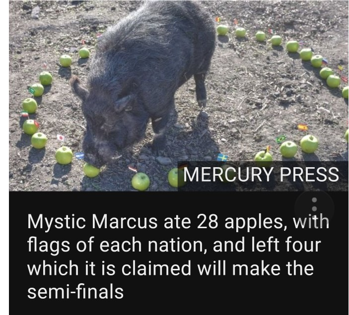 mercury mystics prediction