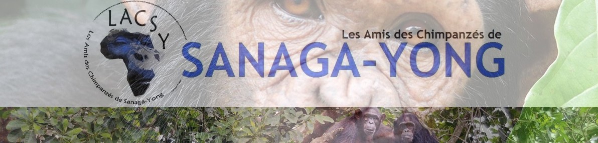 Les Amis des Chimpanzés de SANAGA-YONG