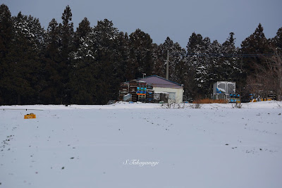 群馬県　昭和村　雪景色