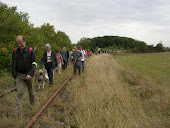 TRAIN EN MARCHE