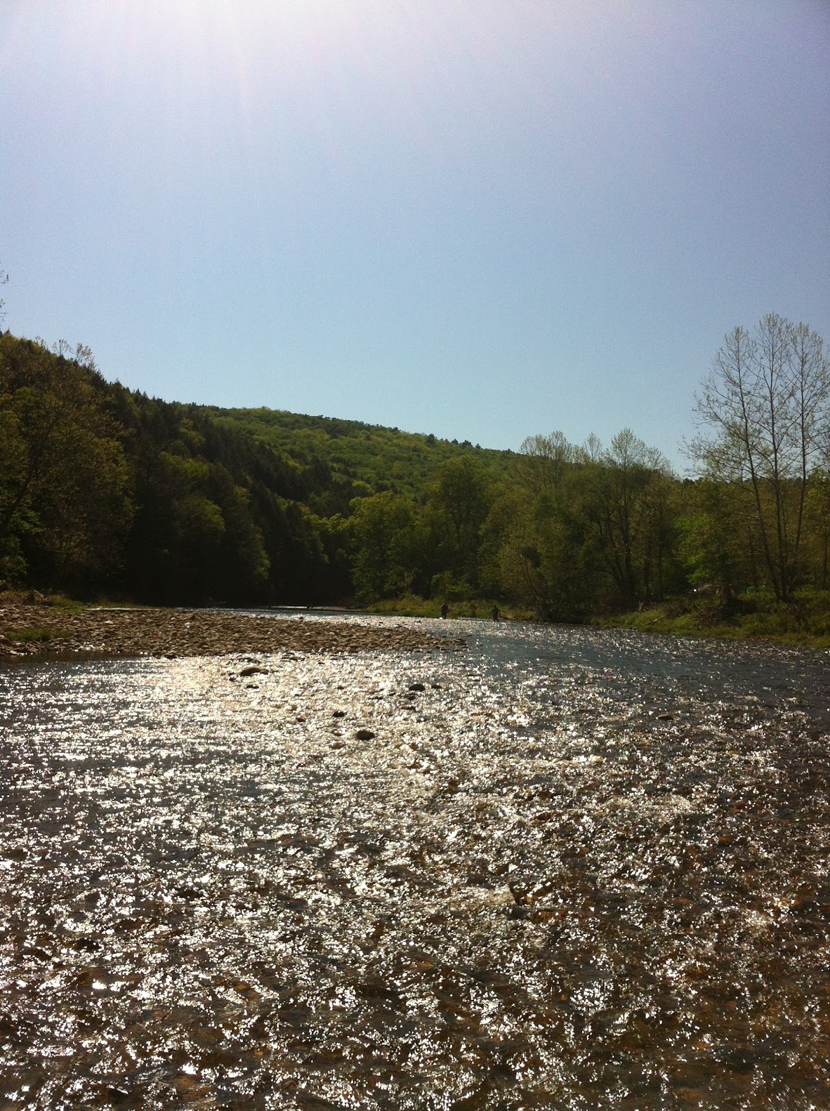 Quinapoxet River Fly Fishing Westfield River (Indian Hollow Campground)