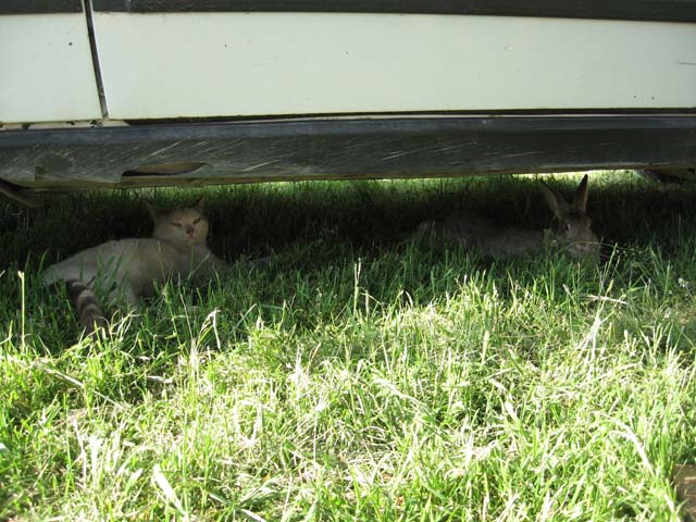 günün ardından Mayıs 2012