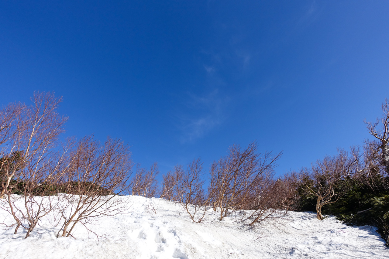 あくくり Active Creative オベリスクに会いたくて 山梨県 鳳凰三山 後篇