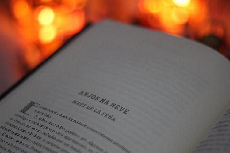 Resenha, O Presente do Meu Grande Amor, Stephanie Perkins, Intrínseca, 2014, historias de natal, contos de natal
