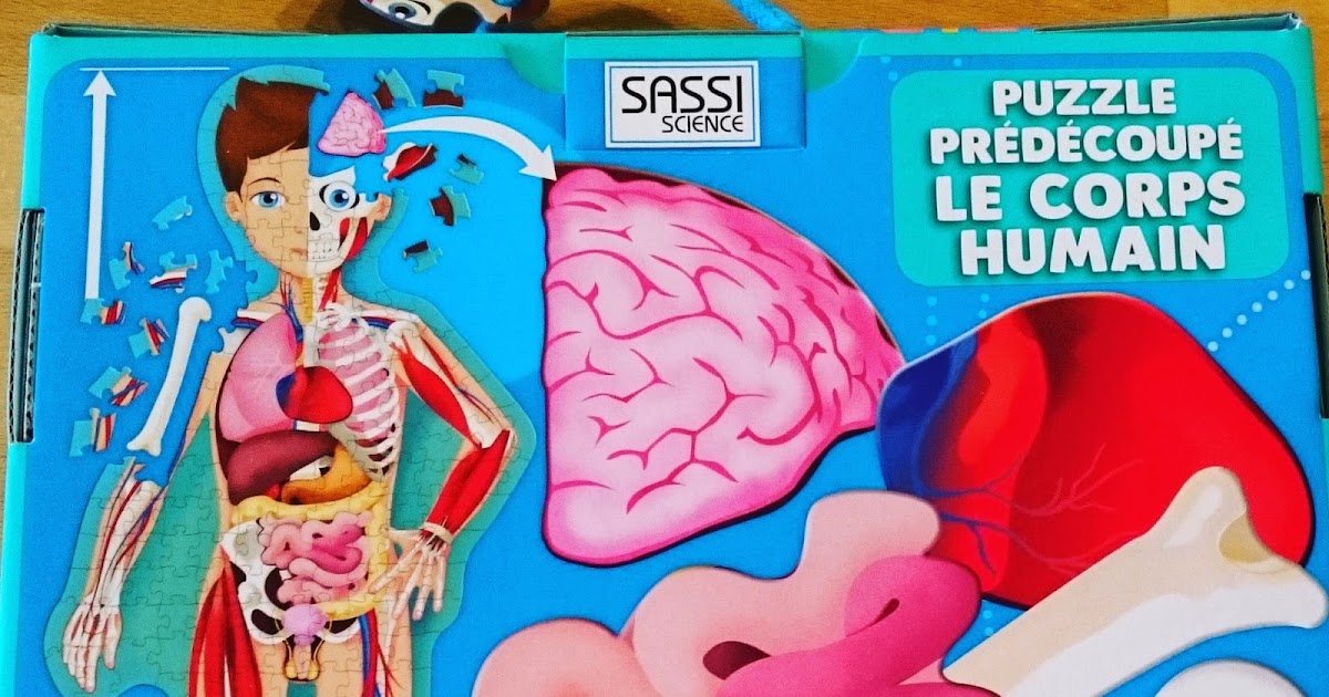 Puzzle Du Corps Humain à Imprimer www.appelezmoimadame.fr