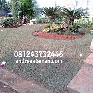 TUKANG TAMAN DI TANJUNG BARAT | TUKANG RUMPUT