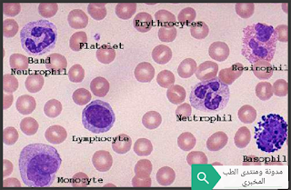 خلايا الدم البيضاء في مختبر WBC