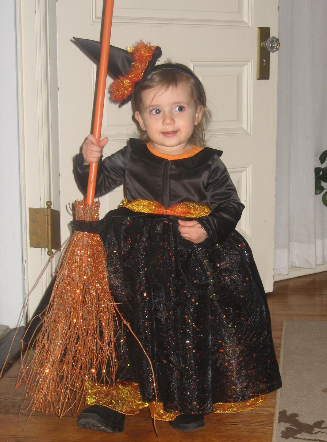 Three City Mice: Simplicty 2569: Finished Witch Costume!