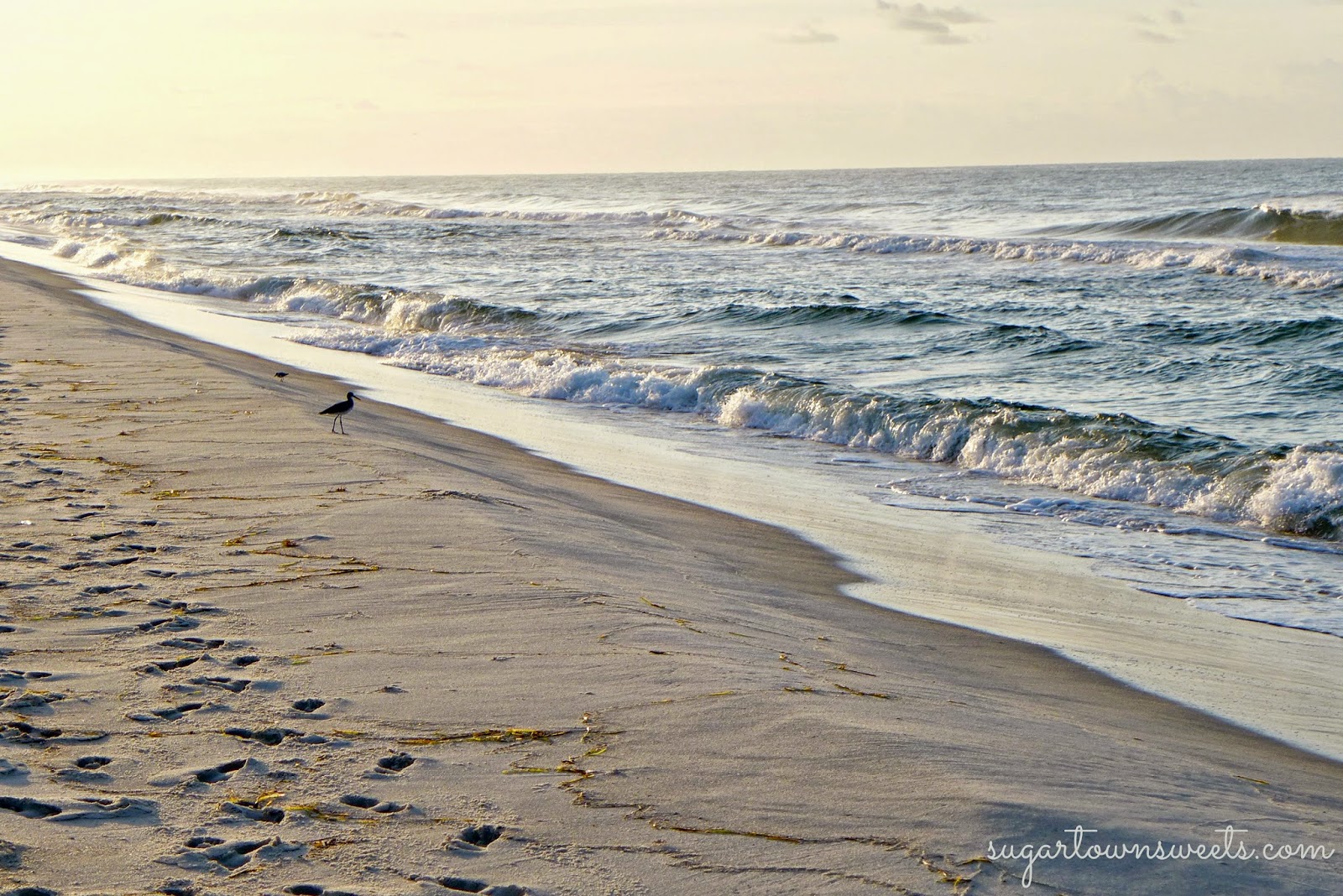 Sugartown Sweets Gulf Shores Family Beach Vacation