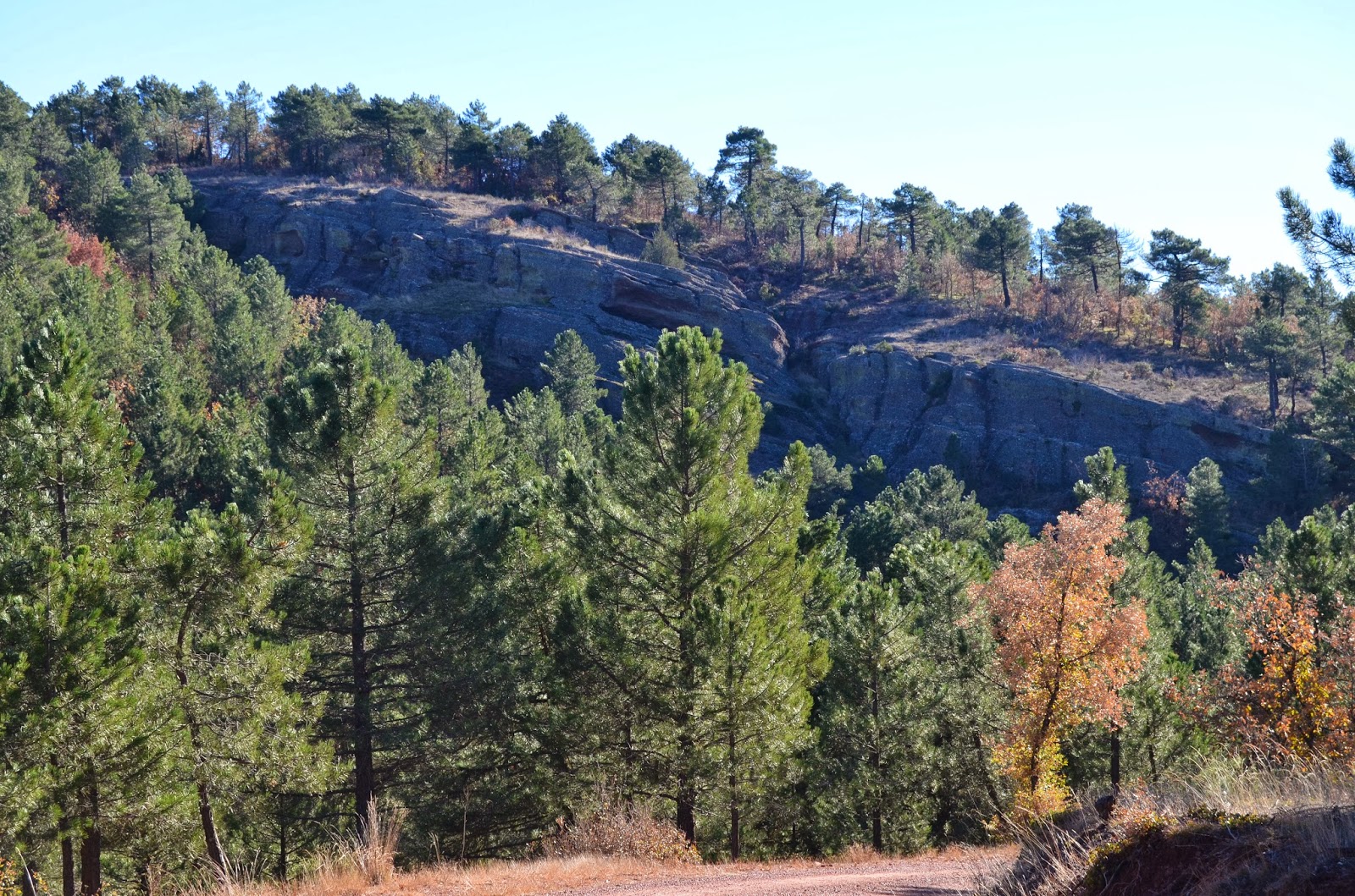 Comer y andar por la Alcarria: Herrerría, el monte de piedra