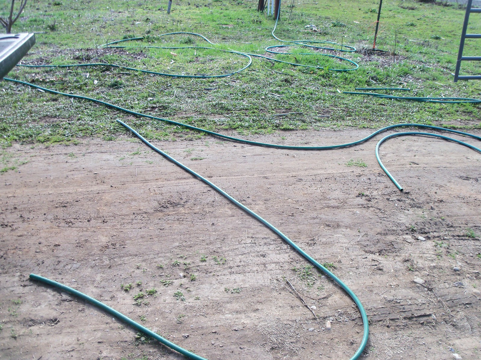 . Water hose recycling.dogs love it too