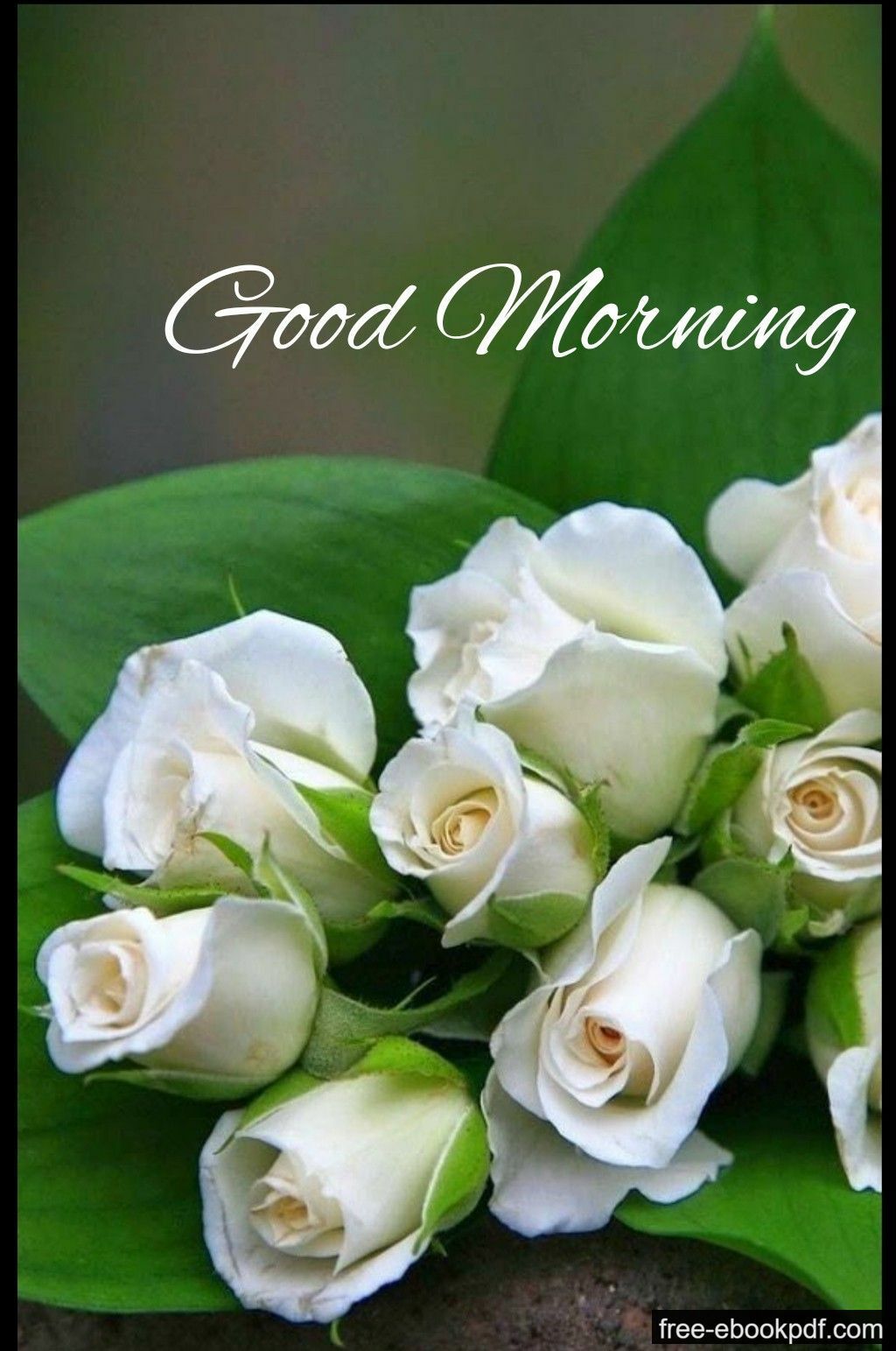 inspirational good morning messages