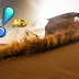 RedeTV! prepara cobertura especial do Rally dos Sertões