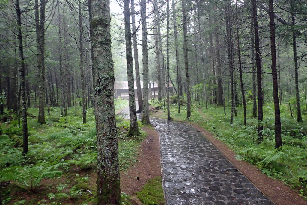 always further away from where I was Paektusan secret camp Samjiyon