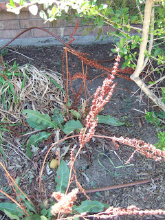 Grandma's House: Garden Weeds